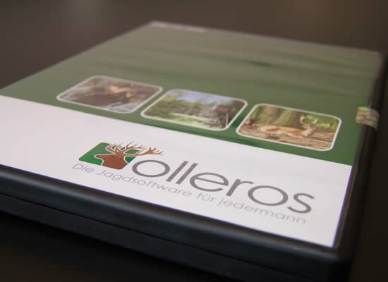 Olleros