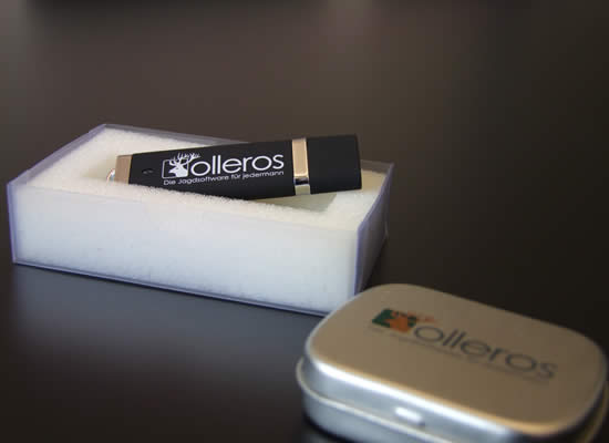 Olleros