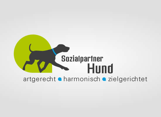 Sozialpartner Hund
